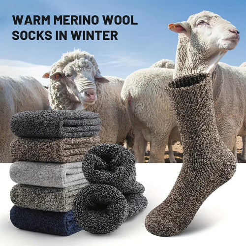 5 Pairs of Thick Solid Crew Socks for Men - Winter Essentials